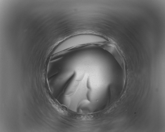 X0000079580345200612152111