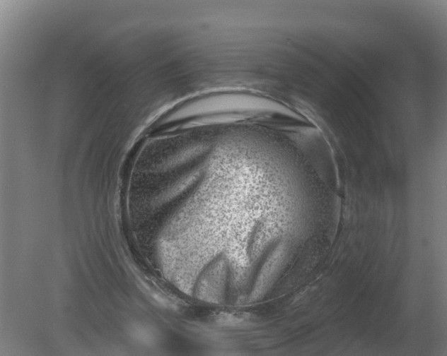 X0000079580346200612152111