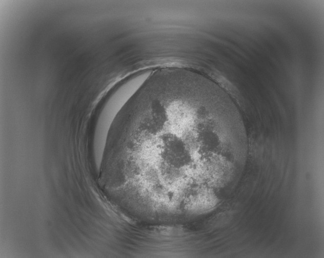 X0000079580347200612152112