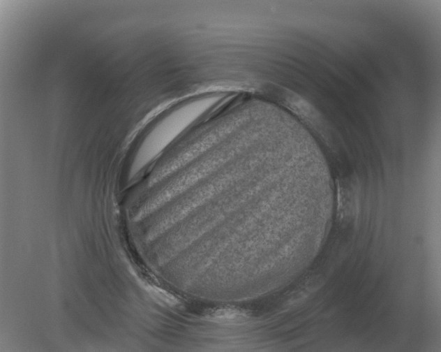 X0000079580348200612152112