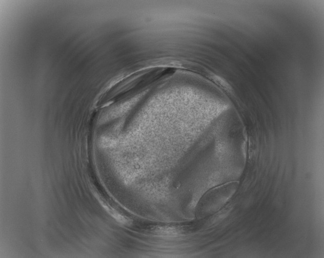 X0000079580349200612152112