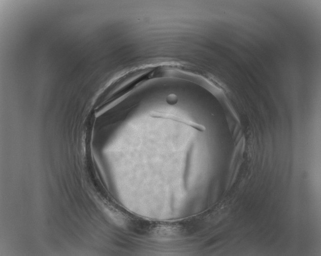 X0000079580350200612152112