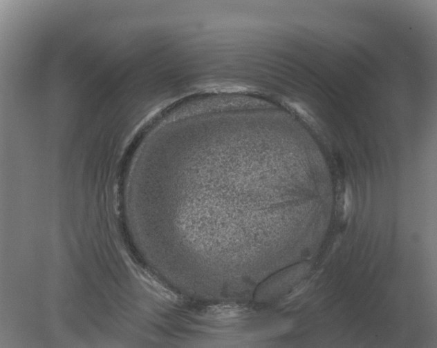 X0000079580351200612152112