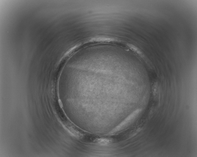 X0000079580352200612152112