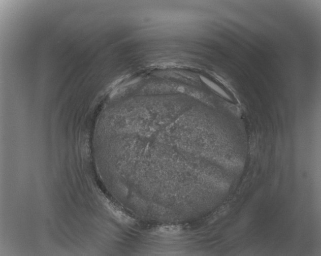 X0000079580353200612152112