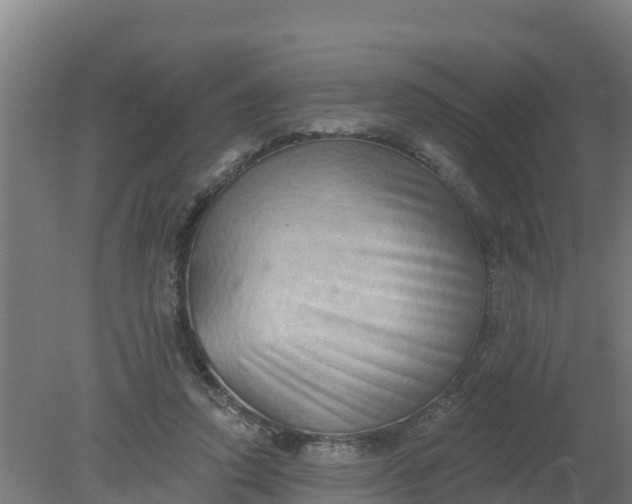 X0000079580354200612152112