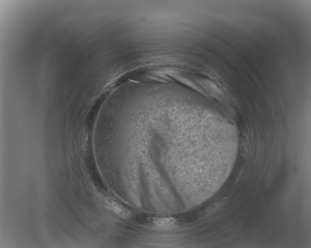 X0000079580355200612152112