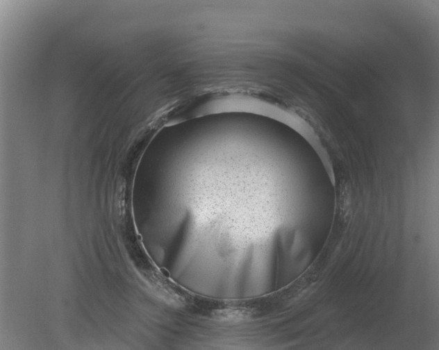 X0000079580356200612152112