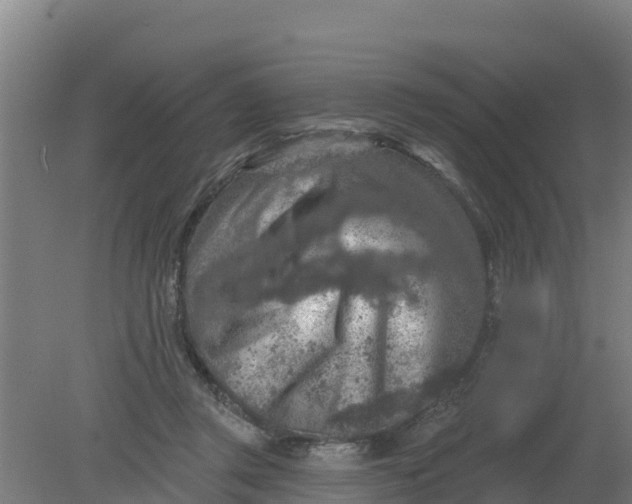 X0000079580357200612152112