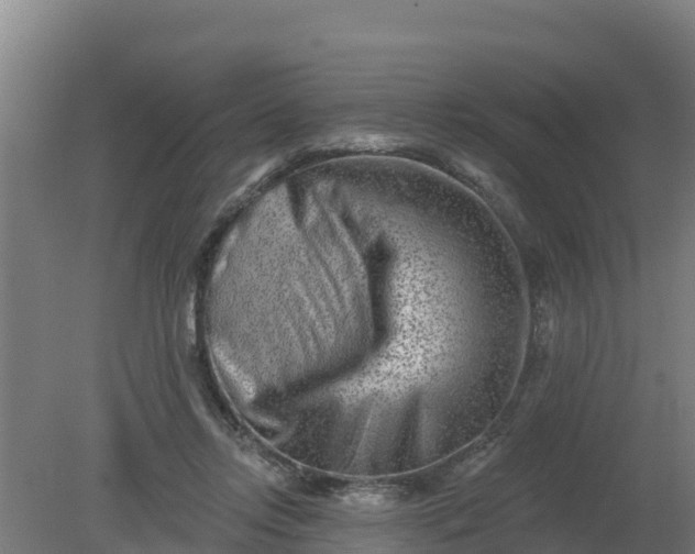 X0000079580358200612152112