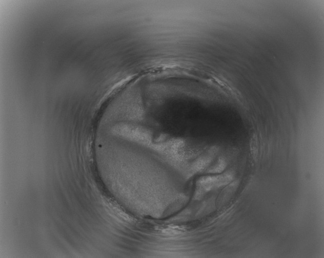 X0000079580359200612152112