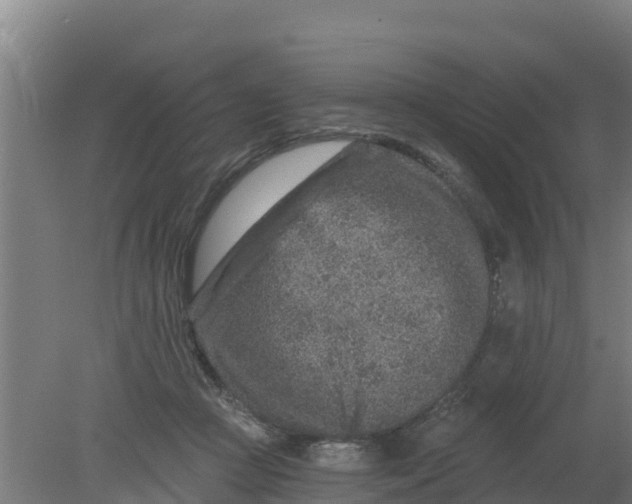 X0000079580361200612152112