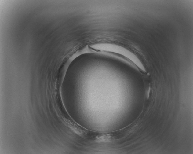 X0000079580362200612152112