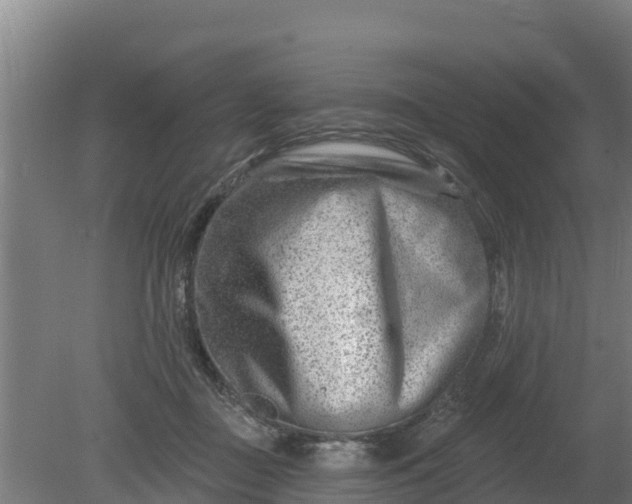 X0000079580363200612152112