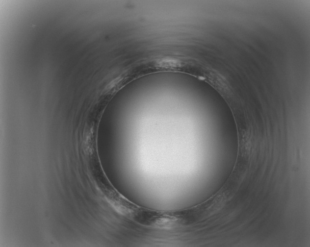 X0000079580364200612152112