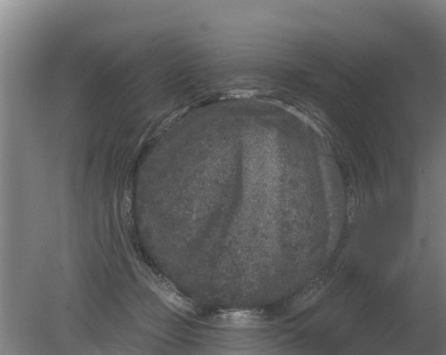 X0000079580365200612152112