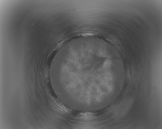 X0000079580367200612152112