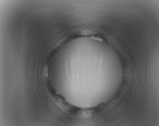 X0000079580368200612152112