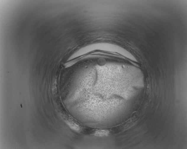 X0000079580369200612152112