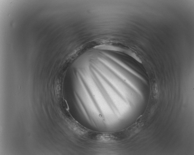 X0000079580372200612152112