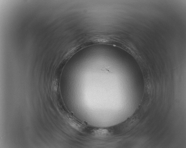 X0000079580374200612152112