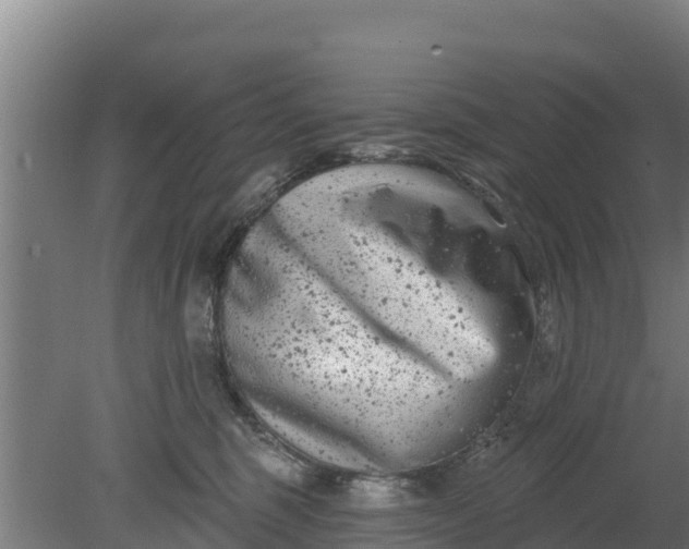 X0000079580375200612152112