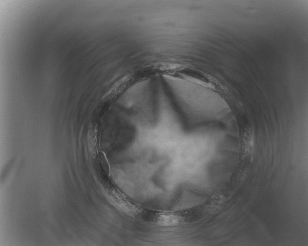 X0000079580376200612152112