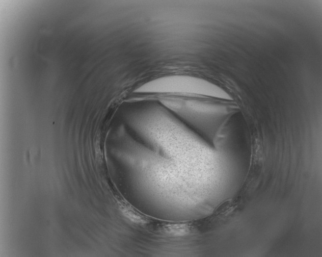 X0000079580377200612152112