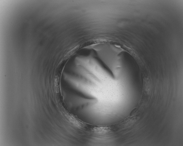 X0000079580378200612152112