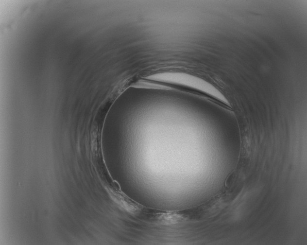 X0000079580379200612152112