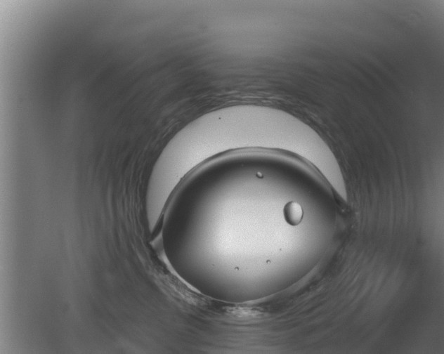 X0000079580380200612152112