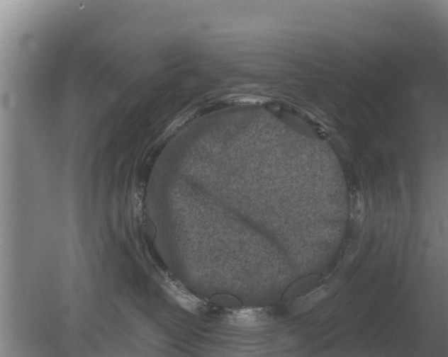 X0000079580382200612152112