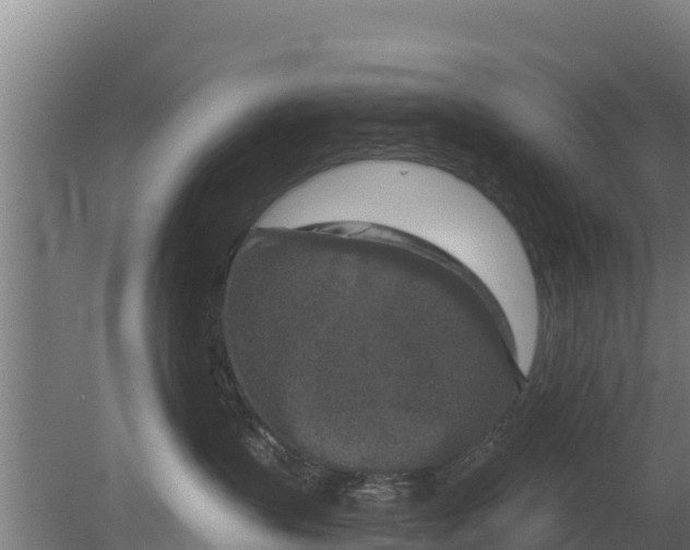 X0000079580383200612152112