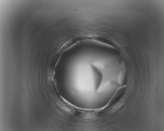 X0000079580384200612152112