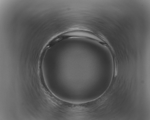 X0000079580387200612152111