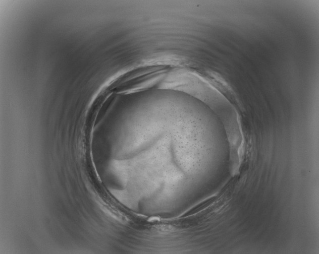 X0000079580392200612152111