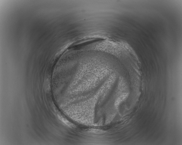 X0000079580393200612152111