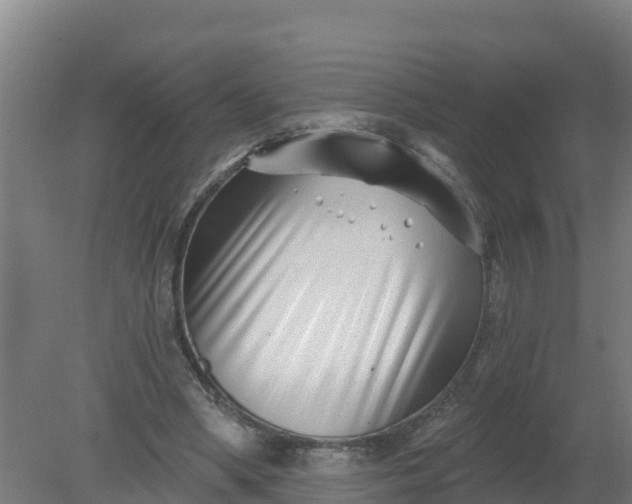 X0000079580394200612152111