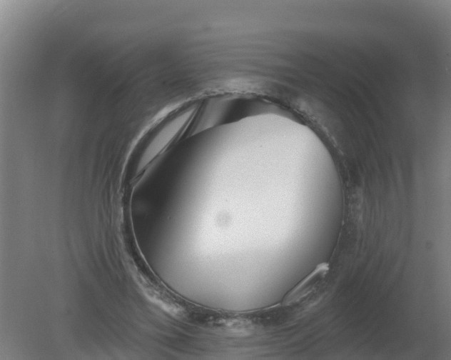 X0000079580395200612152111