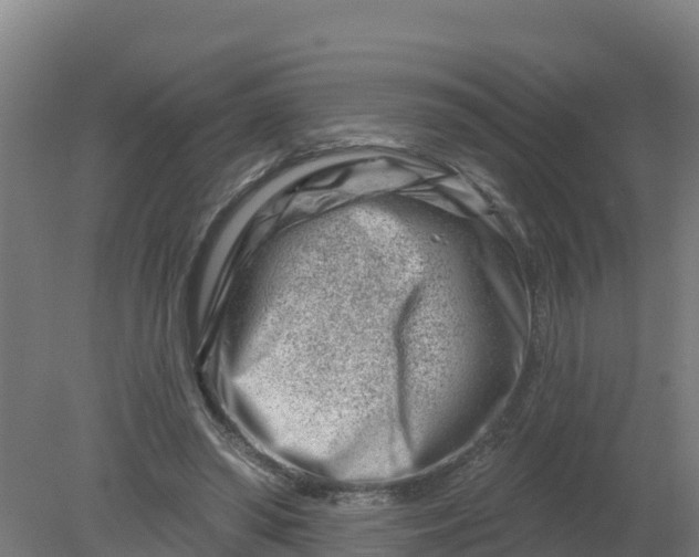 X0000079580398200612152111