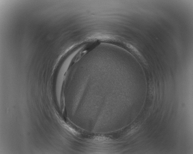 X0000079580399200612152111