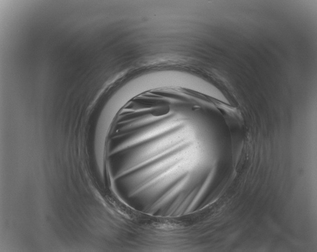 X0000079580400200612152111