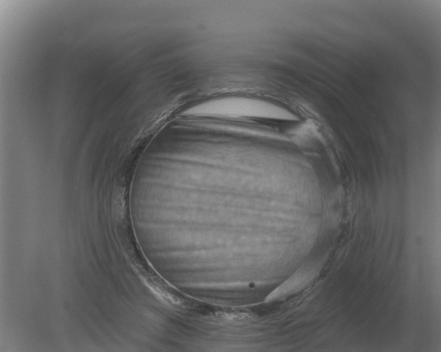 X0000079580401200612152111