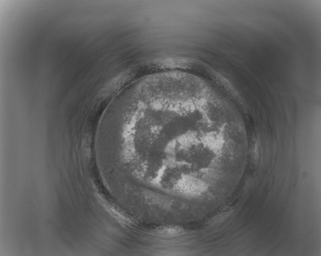 X0000079580402200612152111