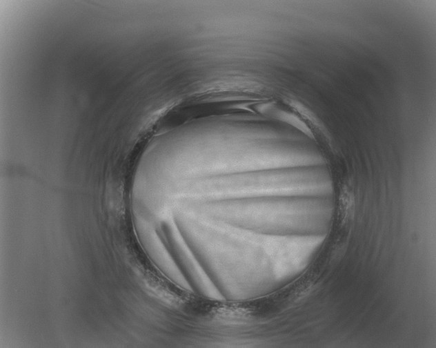 X0000079580403200612152111