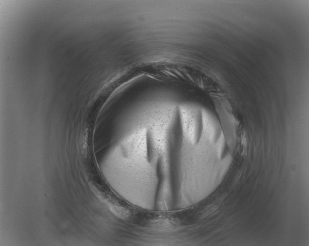 X0000079580404200612152111