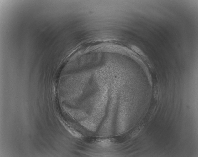 X0000079580405200612152111