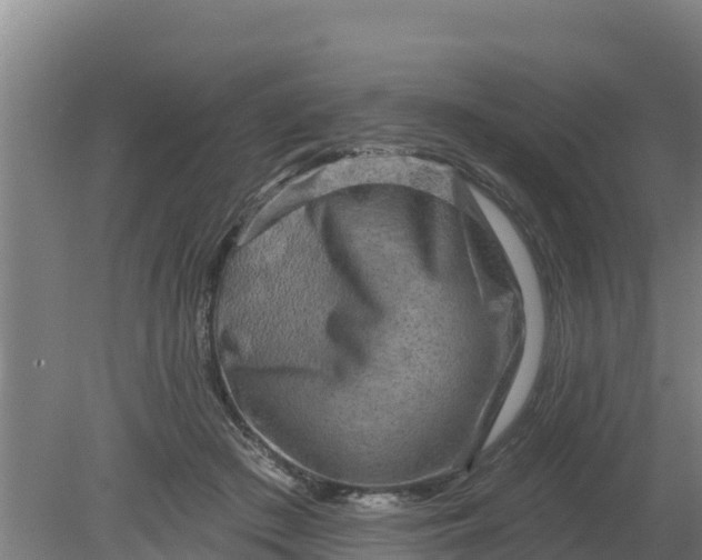 X0000079580409200612152111