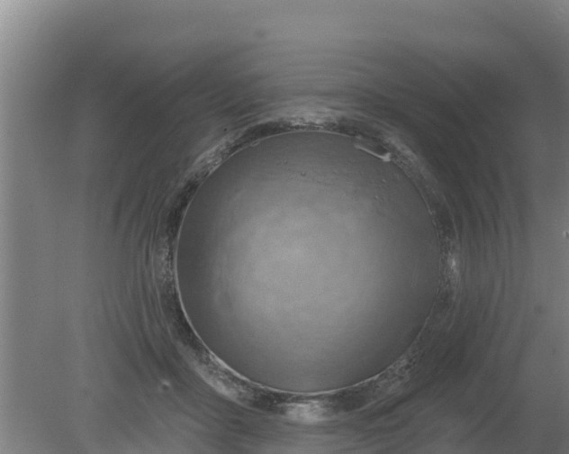 X0000079580411200612152111