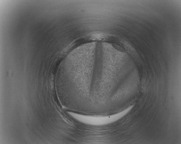 X0000079580413200612152111